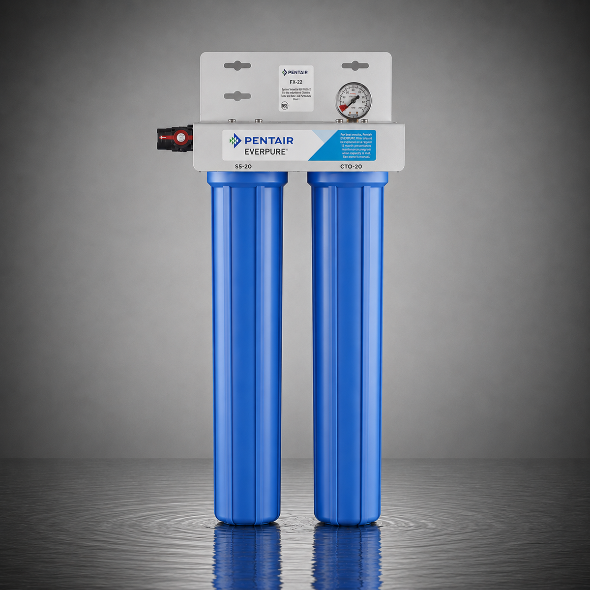 OptiPure FX-22, 160-50025, Dual 20 inch Carbon Water Filter System