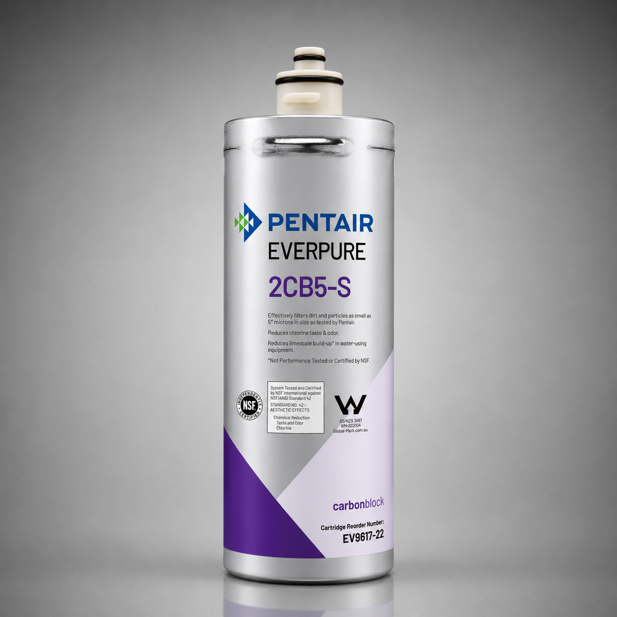 Pentair Everpure® 2CB5-S, EV9617-22, Water Filter Cartridge, Carbon Block and Scale Inhibitor