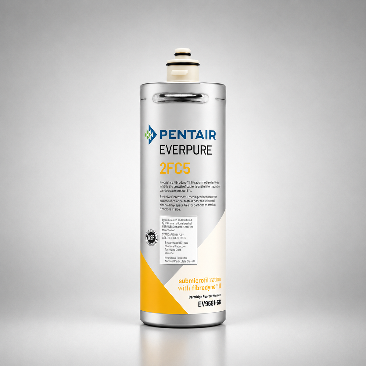Pentair Everpure® 2FC5 Cartridge, EV9691-66, BGE-1200, 5 micron