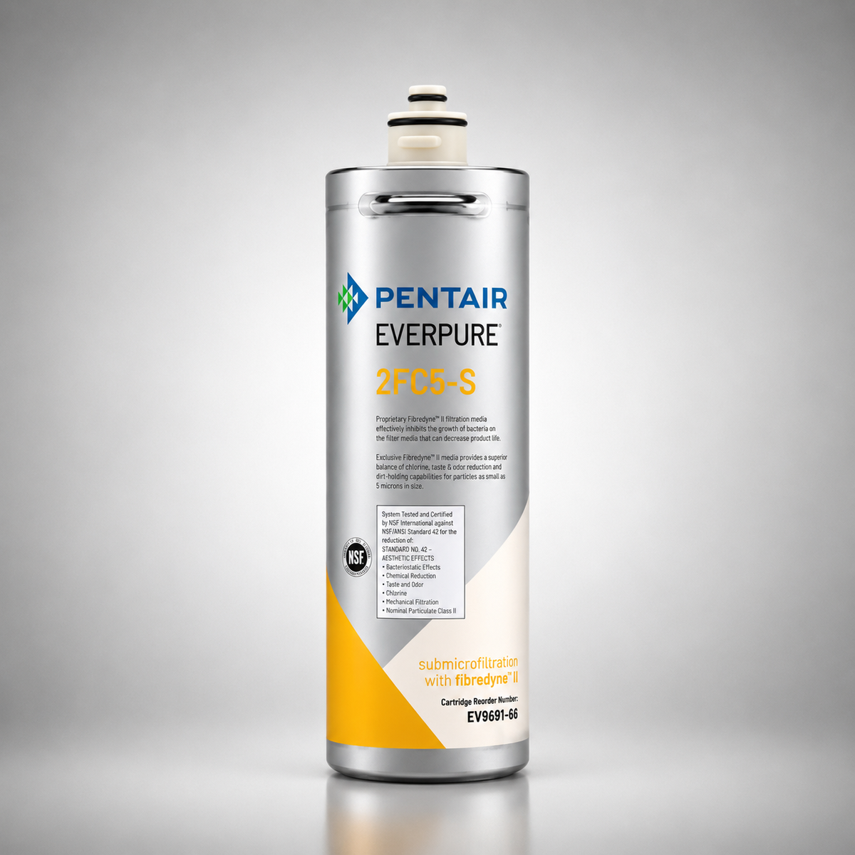 Pentair Everpure® 2FC5-S Cartridge, EV9691-86, BGE-1200S, 5 micron