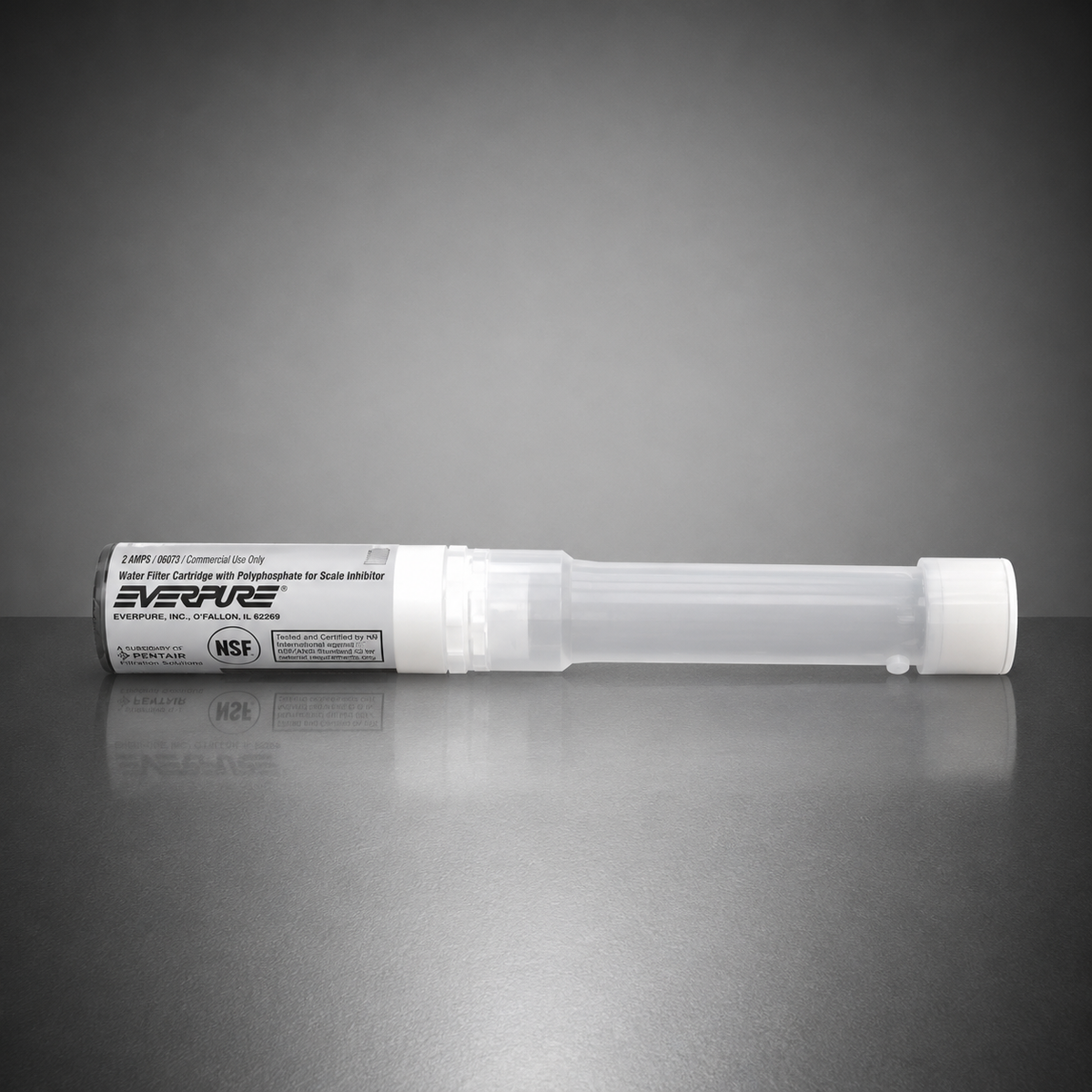 Pentair Everpure SS-10 Modular ScaleStick, EV9799-02, 10 inch ScaleStick Replacement
