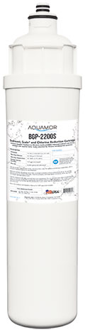 BevGuard BGP-2200S, 105117, Everpure Alternate Carbon Filter, Scale Inhibition