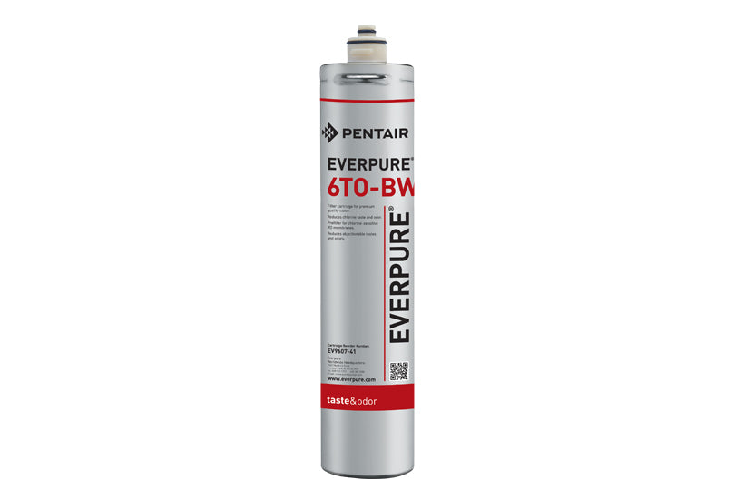 Everpure 6TO-BW, EV9607-41, Water Filter Cartridge, Chloramine Reduction