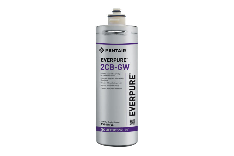 Everpure 2CB-GW, EV9618-36, Water Filter Cartridge, Carbon Block and Scale Inhibitor